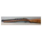 Blue Streak Pump 22Cal Pellet Rifle, USA Made
