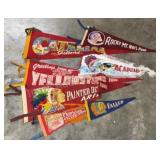 Vintage Pennants - National Parks, Mexico