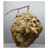 24in Hornets Nest