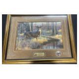 ï¿½Old mossy hornsï¿½ 38x30 picture & certificate