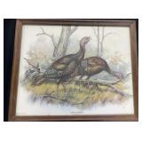 Wild Turkey painting
