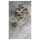 Trap Line Stake and Traps