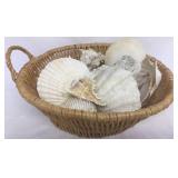 Basket of Sea Shells