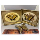 Butterflies