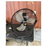 New fan