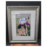 Iris, Cotton Ketchie print