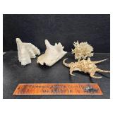 Shells and coral