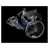 Schwinn Breeze
