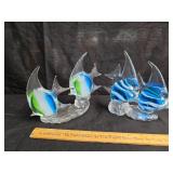 Glass fish