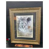 Big Cats picture