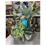 Plants