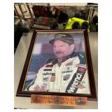 Dale Earnhardt picture