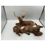 Deer family