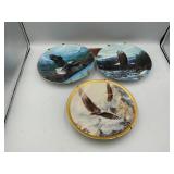 Collector plates with hangers