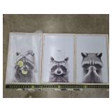 3 raccoon pics