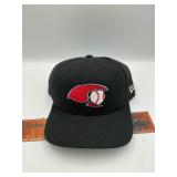 Hickory Crawdads hat
