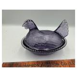 Hen on the nest