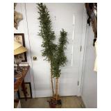 Small 6ï¿½ Christmas tree