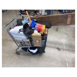 Cart lot