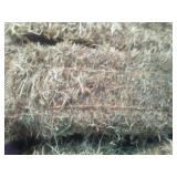 50 Bales Grass Hay