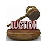 Auction Dates June 17th - 24th