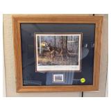 'White Tail Wonder' 1994 Collectors Addition