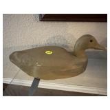 Duck Decoy