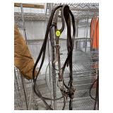 Leather Bridle