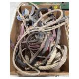 Assorted Rope Halters & Lead Rope