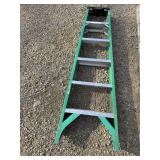 Werner 6' Fiberglass Step Ladder