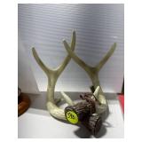 Antler Decor