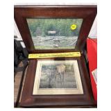 Pair of Elk Pictures