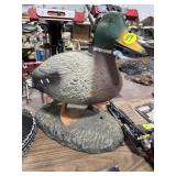 Duck Decoy