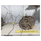 Hornets Nest