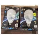 Pair of Light Bulbs