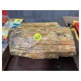 Petrified Wood 9"x8"x4.5"