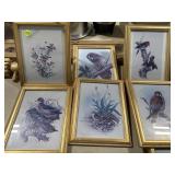 Set of 6 Bird Pictures
