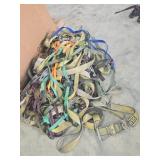 Cayenne Ratchet Straps with Buckles