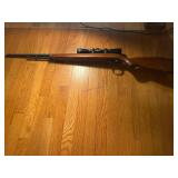Remington Model 582 .22 Rifle with Leopold VARI-XI