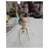 Fox Taxidermy Mount with Antler Base