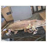 Taxidermied Alligator With Skeletal Figures and Co
