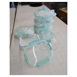 Glass Food Storage Containers with Aqua Lids