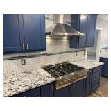 6 Burner gas stove