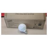 Case 15 LED light bulbs