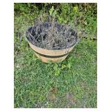 5-Plastic  planters