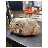 Hand painted rock