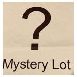 Mystery  lot all items that do not receive a bid