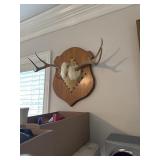 Wall art