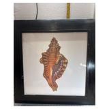 29x29 Sea shell wall art