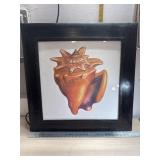 Sea Shell Wall Art 39x29